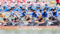 百舸争流，勇立潮头| 罗浮宫家居第二届龙舟赛火热开赛
