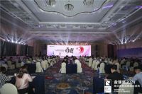 荣誉见证！2024金瑞奖“顶墙十大品牌”正式揭晓