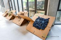 Material X Lab可持续材料实验室发布会圆满结束