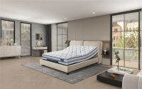 舒达iComfort智能床2024新品上市，全周期守护舒适好睡眠