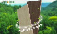 爆款推荐，家装就用伟业五强功能板