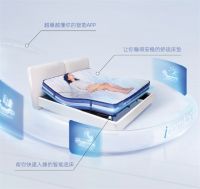 舒达品牌荣耀时刻：3大商标入选省级重点保护名录，彰显行业标杆实力