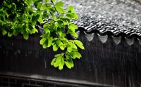 美绮抗菌窗帘｜耐酷时技术创新赋能，梅雨季节轻松告别发霉！