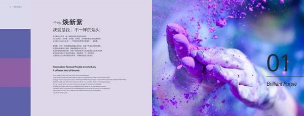 蒙太奇氧宝3.0负氧离子艺术涂料流行色盛大发布，引领色彩美学新风尚