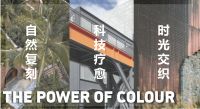 跨越50年，不止50年 | 德爱威2025年度流行色彩趋势重磅发布