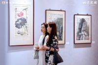 北京宸园营销中心震撼启幕，名流云集共睹盛事