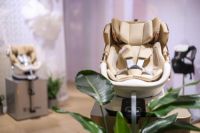 母婴潮流风向标，BeBeBus摩登上海时尚家居展启动