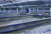 大国工程丨赋能农业现代化建设，联塑助推海南热带特色农业高质量发展