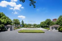 共筑智能体，生成新未来|兔宝宝荣获2024百度年度品牌合作奖