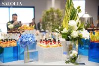 SALOLEA「初见」：一场空间美学与生活态度的首映礼