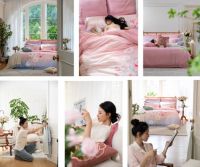 远梦家居三十周年：三代传承，匠心铸就自然家居生活新标杆