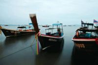 聚焦东南亚市场，打造新增长曲线 欧派、九牧等企业加速“下南洋”