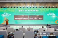 宋建文：红木品牌峰会已成行业内的标志性盛事