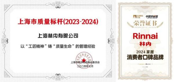 载誉笃行 砥砺深耕|林内2024年度奖项盘点 多赛道齐头并进