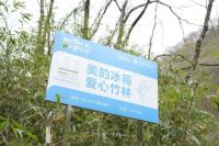 抗灾免费维修，美的冰箱用爱与责任温暖守护