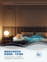 与约克VRF中央空调共度新春，品味不一样的新年舒适健康“新气象”