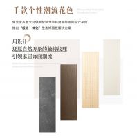 2025年湖北兔宝宝新品推介会——彩臻板强势来袭！