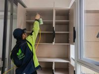 武汉新家甲醛咋整？科学除醛有妙招！