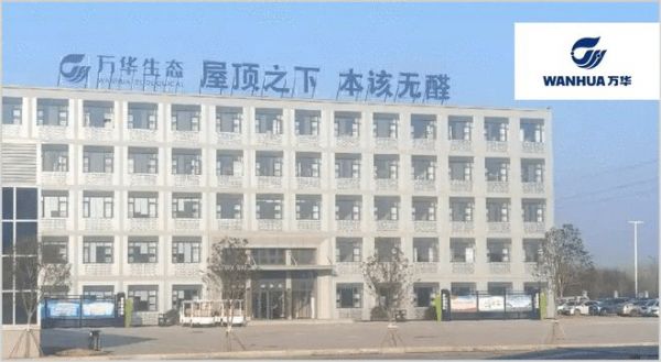 板材怎么选？这是2025年板材十大品牌榜单！