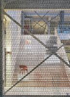 杨明洁设计博物馆获德国iF设计金奖