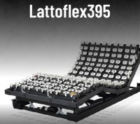 Lattoflex乐德飞翼将携手Muscle Star，强势开启品牌90周年盛典！