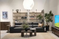 源氏木语招商拓展总监洪洋：新实木主义六大革新 书写空间进化论