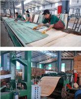 孔氏阻燃板：以安全为核心，共筑2025年315消费者权益日防火墙