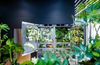 以德国精工，致时间鲜度——中国首家Liebherr利普赫尔品牌体验中心，探寻奢厨之美