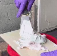 新手不再怕！调胶再也不翻车啦！