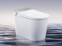 智能马桶谁更强？十大品牌实测，瑞尔特成黑马居第四！