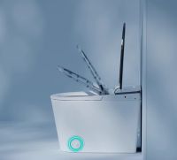 智能马桶谁更强？十大品牌实测，瑞尔特成黑马居第四！