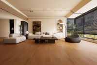 春装旺季，别错过久盛的超级新品！