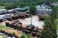 古森红木：缔造大国精品，传承东方美学