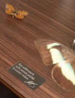 Poltrona Frau × Fornasetti创意印花重塑家居美学