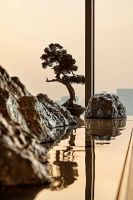 我心归处即安云 | 「量执·安云」案名正式发布