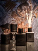 CCD米兰设计周启幕全球设计生态平台