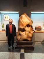 2025 年全球铝产业：绿色转型与技术创新下的新机遇与挑战