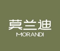 莫兰迪抗菌窗帘|凭借99.9%长效抗菌，为家筑牢健康防线