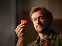 寻味四月，Liebherr利普赫尔以嵌入式组合冰箱臻品探索春日鲜韵