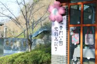 “集章式”游燕子矶，尽享春光与缤纷