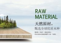 第十届中品榜权威发布 天山板材荣膺健康板材十大品牌荣誉