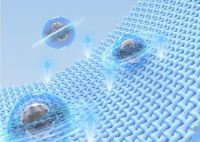 权威认可！小天鹅荣膺奥维云网三项行业大奖