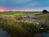 世界地球日 | 以匠心对话自然，海丝腾践行绿色生活新范式