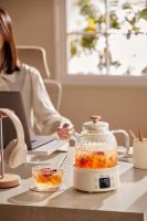 小熊电器职场轻养提案：全玻璃养生壶让打工人找到自己的快充方式