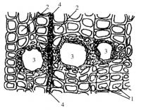 瑞明门窗 23 周年钜惠｜铝木复合窗1299 起！开启品质生活新体验