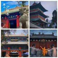 初心如木，禅武破局 丨 李忠信红木2025年经销商大会抢先看