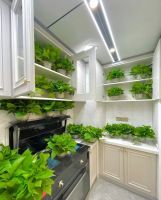 新房去甲醛哪种方法更有效？花费2万元，用实测数据告诉你！