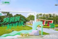 焕新居 鲜呼吸！三棵树马上住3.0战略升级 引领焕新服务革命