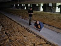 专访Raw Color-Christoph Brach：色彩，跨文化的设计叙事