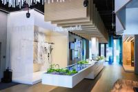 对话石拓璞先生：百年汉斯格雅如何在中国市场“以空间为展厅”实现精准破圈